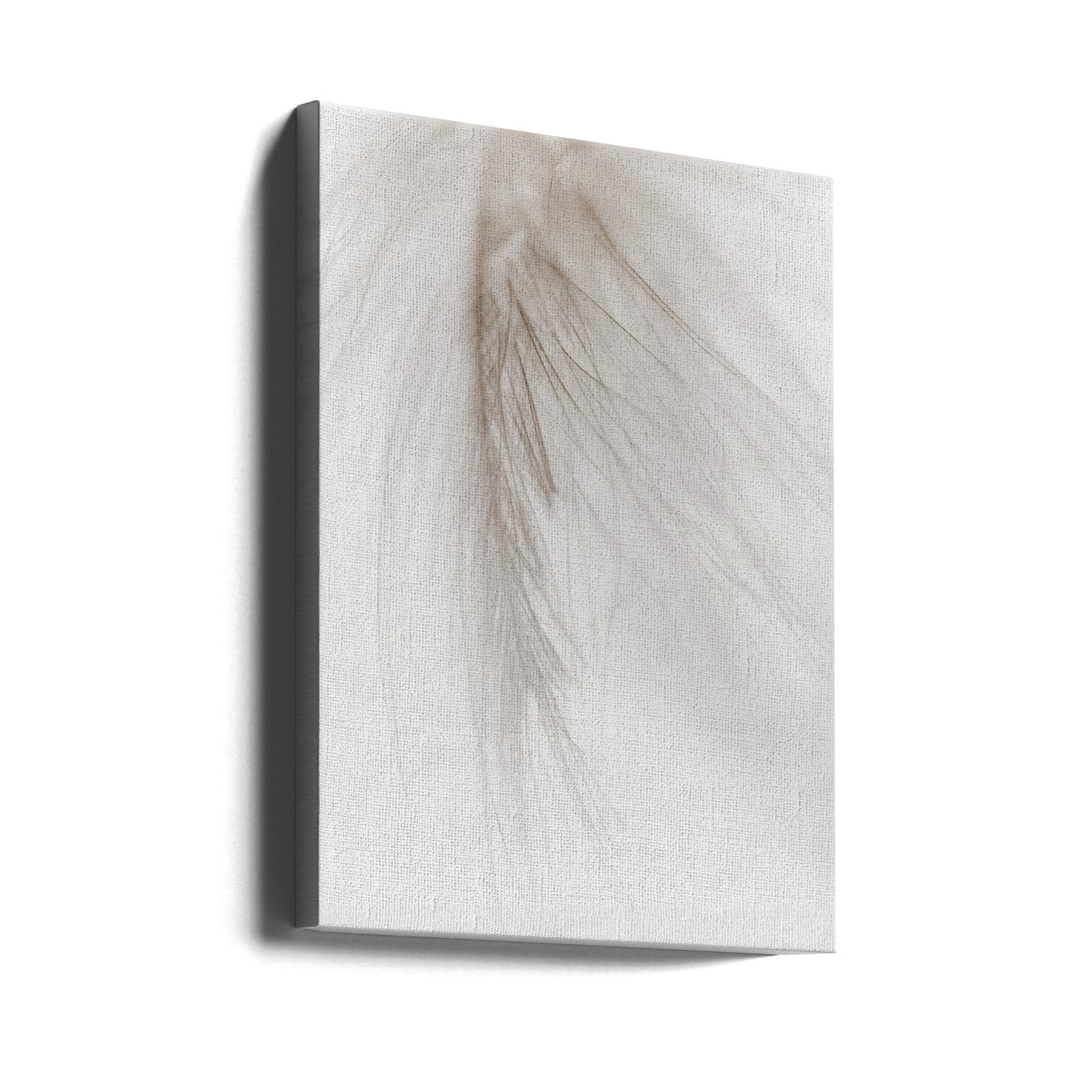 White Feather by Magda Izzard | Minimal Macro Photography, Large Canvas Wall Art Print | Artsy Earth