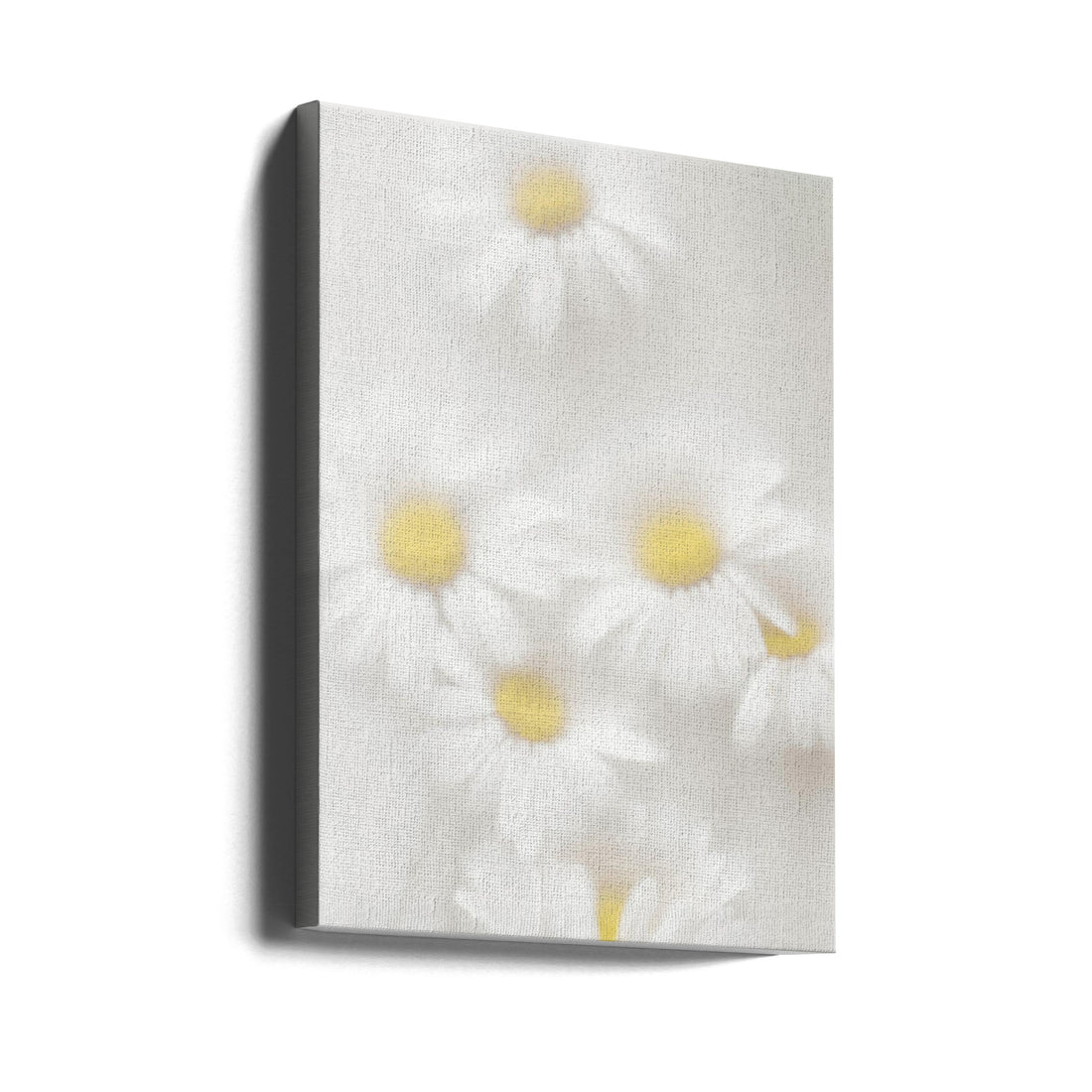 Daisies by Magda Izzard | Yellow Floral Botanical, Large Canvas Wall Art Print | Artsy Earth