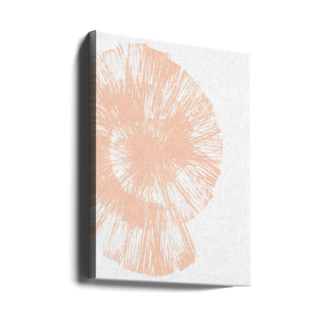 Peach Shell by Martina | Abstract Shell Illustration, Large Canvas Wall Art Print | Artsy Earth