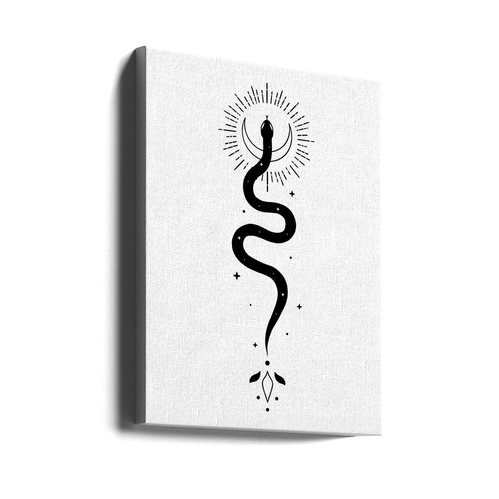 Celestial Snake by Xyz Studio | Abstract Animal Illustration, Large Canvas Wall Art Print | Artsy Earth