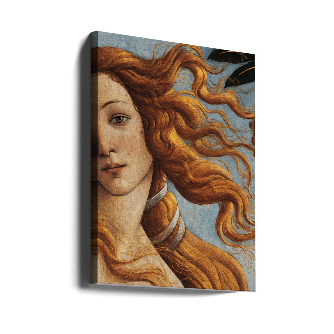 Birth of Venus by The Art Concept | Renaissance Goddess Portrait, Large Canvas Wall Art Print | Artsy Earth