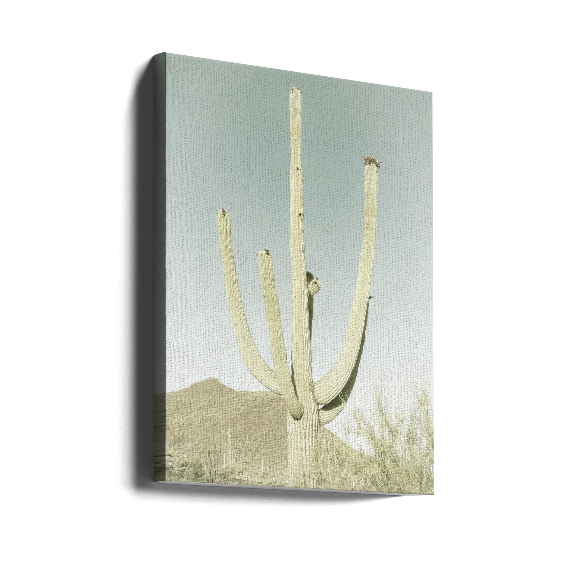 Saguaro National Park by Melanie Viola | Desert Landscape Nature, Large Canvas Wall Art Print | Artsy Earth