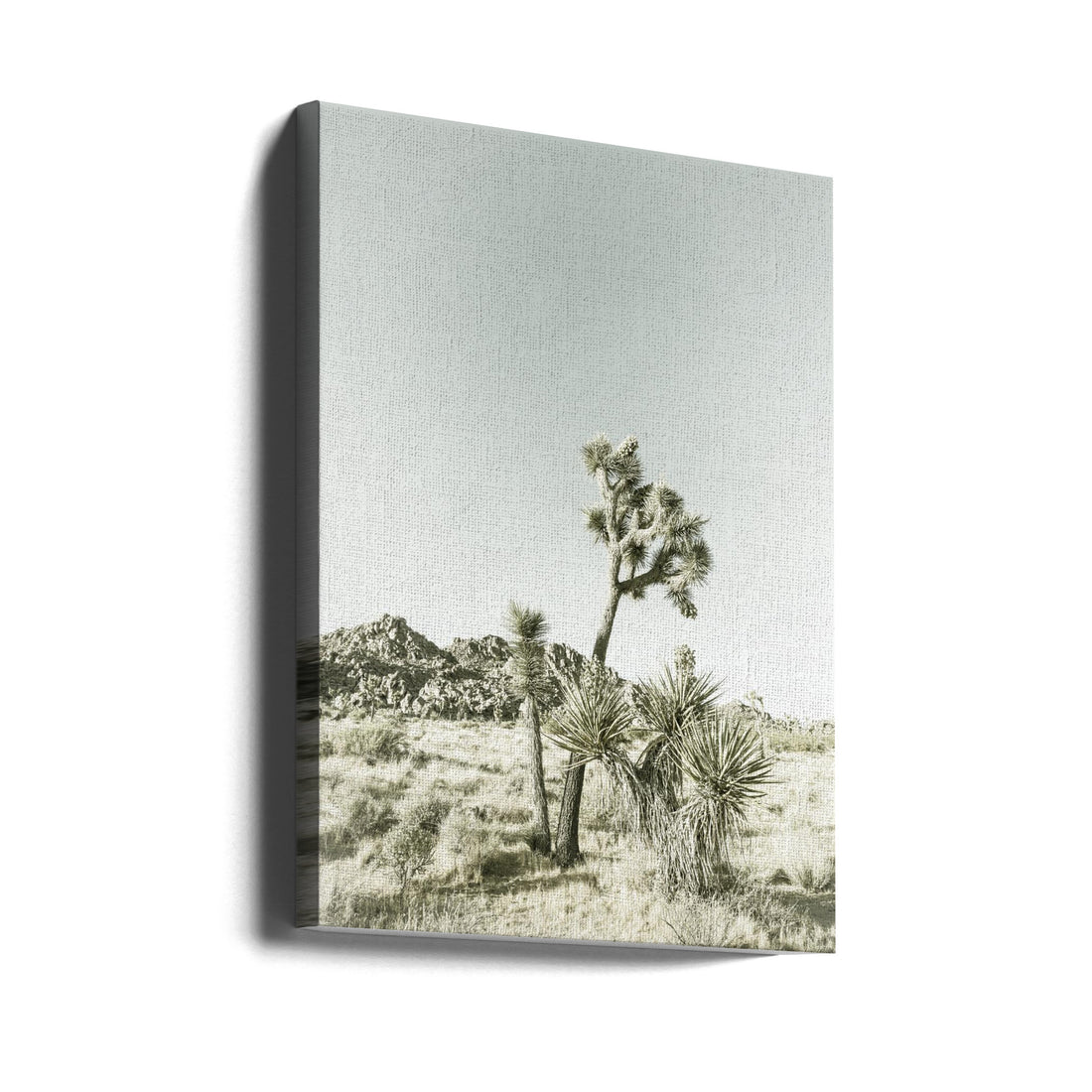 Joshua Tree National Park Vintage Impression by Melanie Viola | Vintage Desert Landscape, Large Canvas Wall Art Print | Artsy Earth