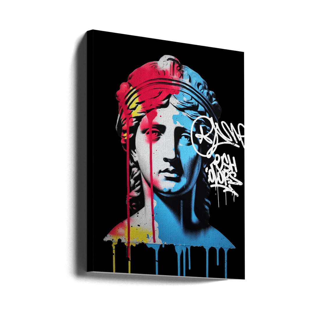 Vandal Nemesis by Dikhotomy | Street Art Portrait, Large Canvas Wall Art Print | Artsy Earth