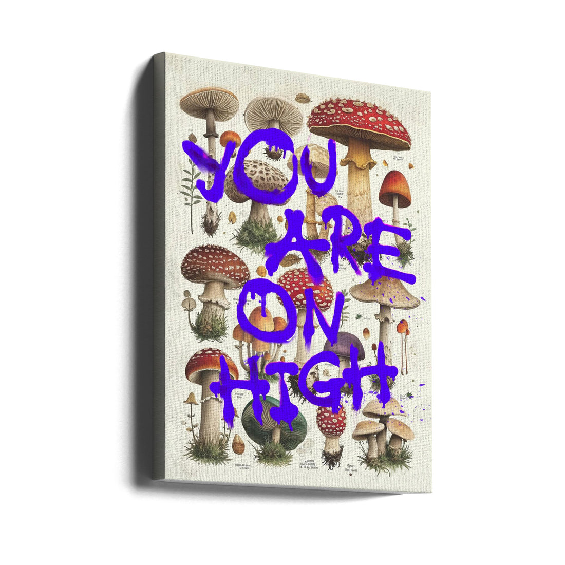 You Are On High by Dikhotomy | Surreal Mushroom Art, Large Canvas Wall Art Print | Artsy Earth