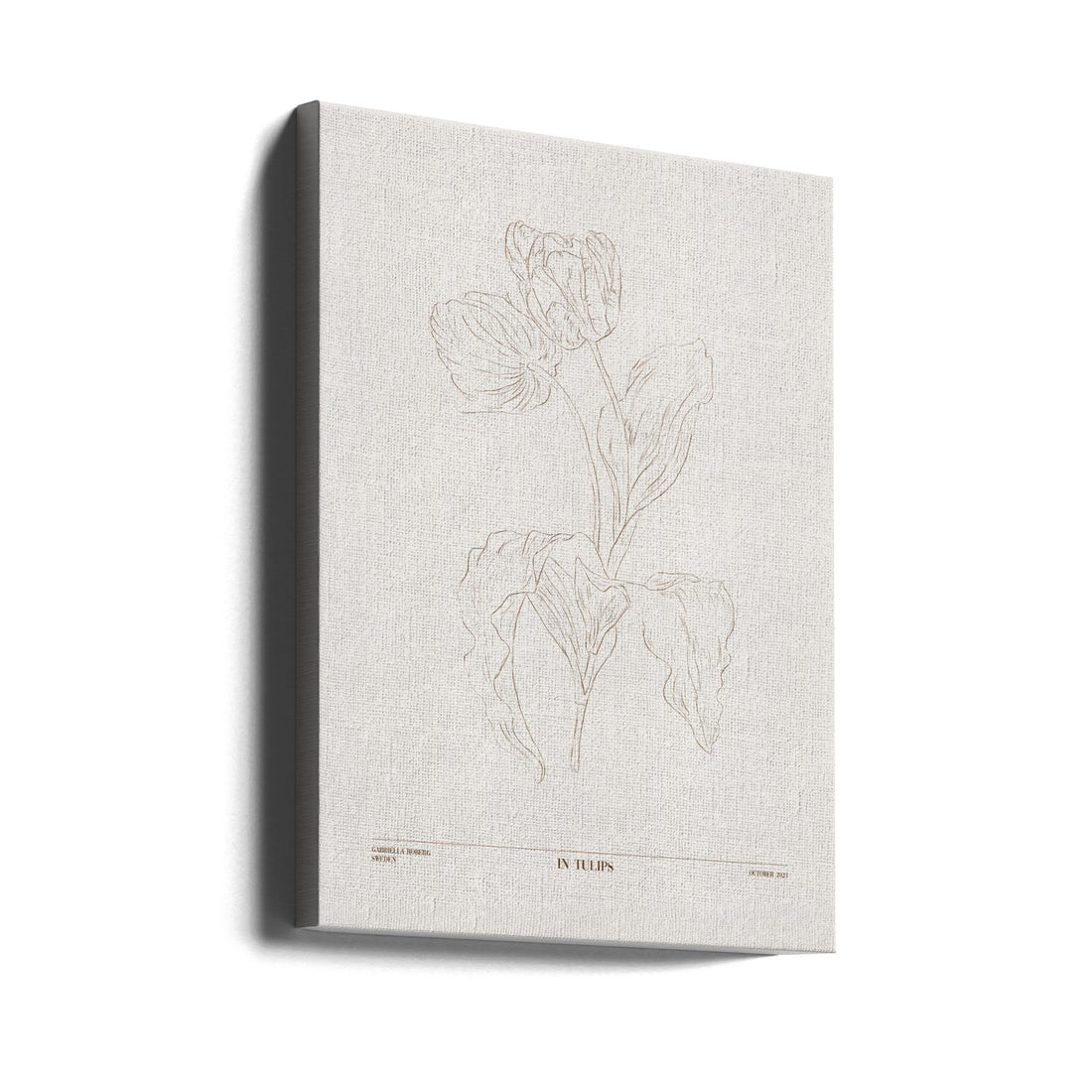 In Tulips by Gabriella Roberg | Botanical Line Drawing, Large Canvas Wall Art Print | Artsy Earth