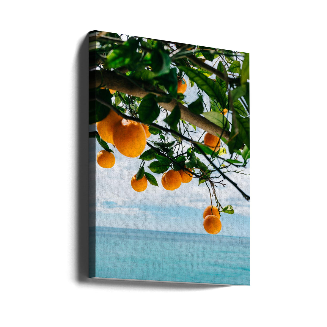 Amalfi Coast Oranges by Bethany Young | Italian Coastal Citrus, Large Canvas Wall Art Print | Artsy Earth