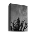 Monochrome Cactus Sky by Bethany Young | Black And White Botanical Landscape, Large Canvas Wall Art Print | Artsy Earth