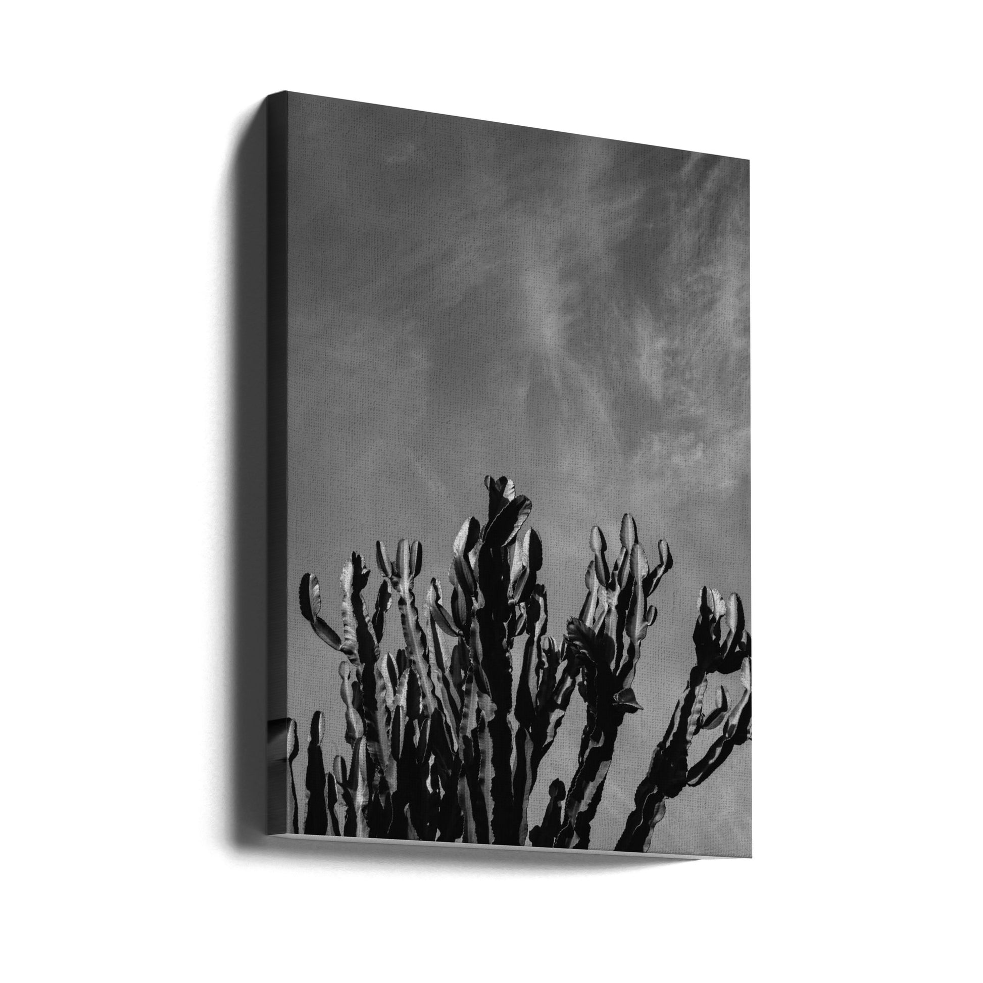 Monochrome Cactus Sky by Bethany Young | Black And White Botanical Landscape, Large Canvas Wall Art Print | Artsy Earth