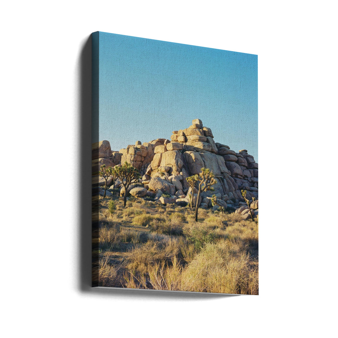 Joshua Tree Sunset by Bethany Young | Desert National Park, Large Canvas Wall Art Print | Artsy Earth