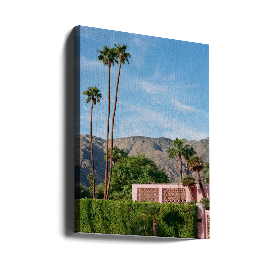 Palm Springs Pink House by Bethany Young | Midcentury Modern Architecture, Large Canvas Wall Art Print | Artsy Earth