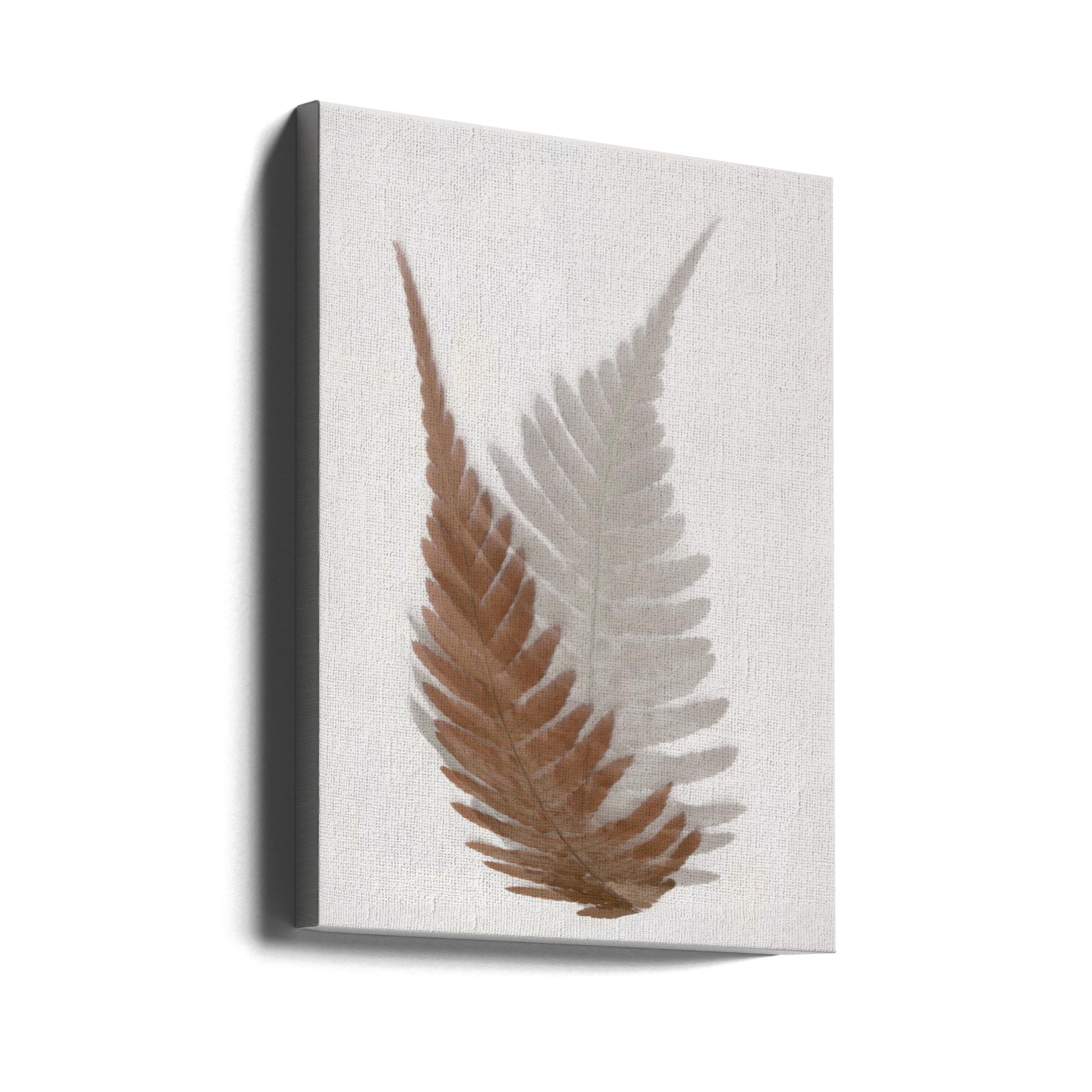 Autumn Fern by Christina Sillen | Minimalist Nature Art, Large Canvas Wall Art Print | Artsy Earth