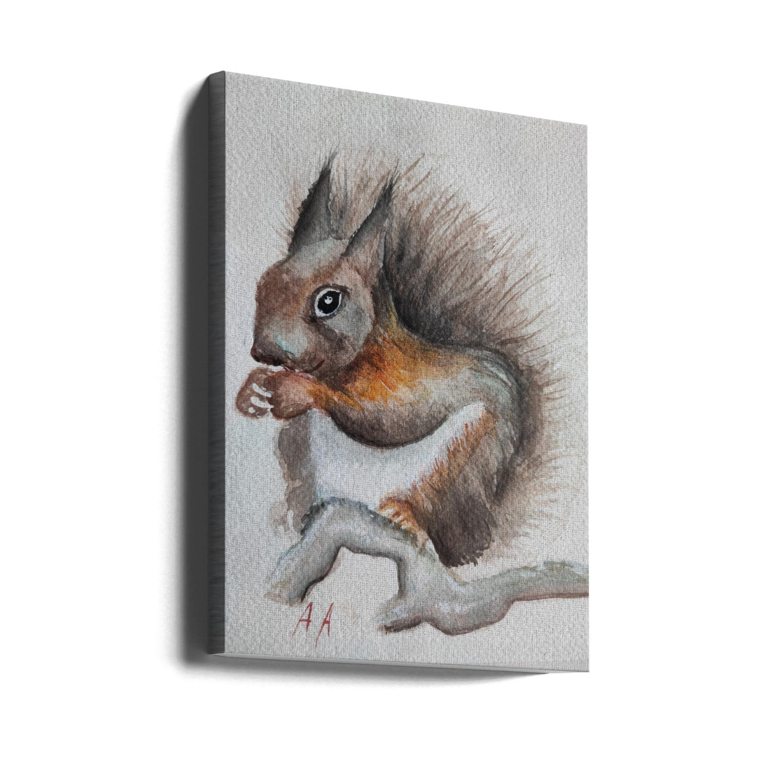 Squirrel Drawing by Annette Armitage | Wildlife Animal Illustration, Large Canvas Wall Art Print | Artsy Earth