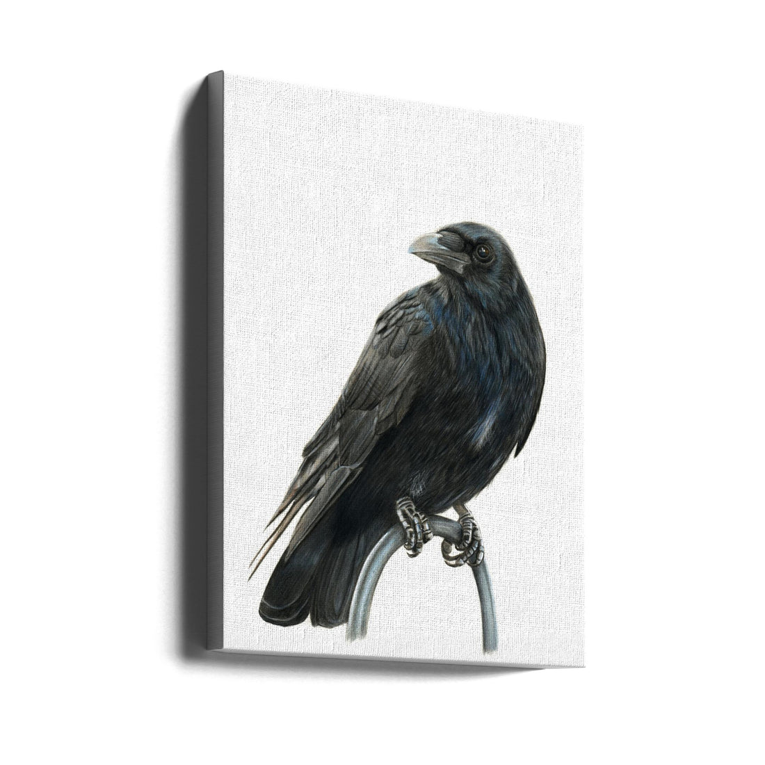 Nevermore by Angelica Diehn | Black Crow Portrait, Large Canvas Wall Art Print | Artsy Earth