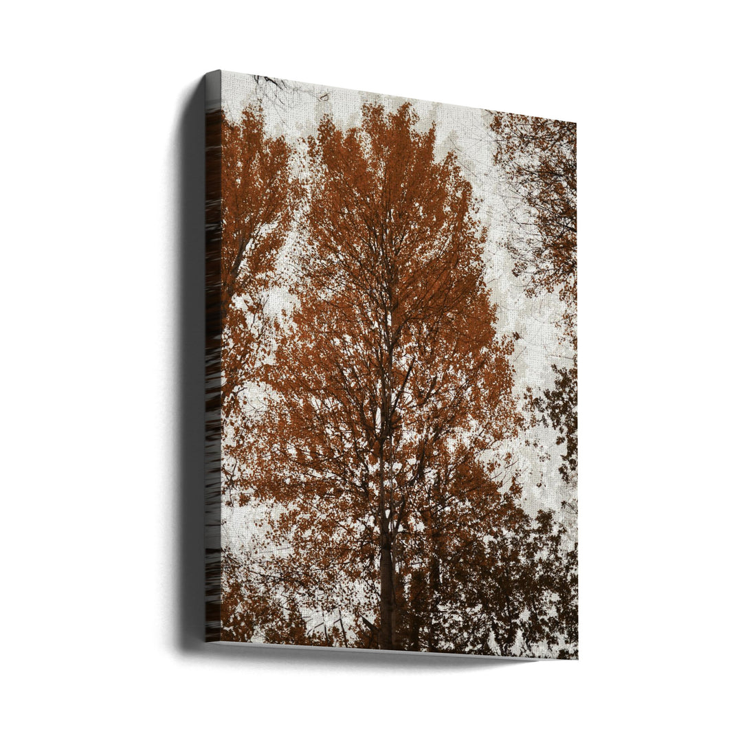 Aspen Forest Art by Christina Sillen | Winter Botanical Nature, Large Canvas Wall Art Print | Artsy Earth