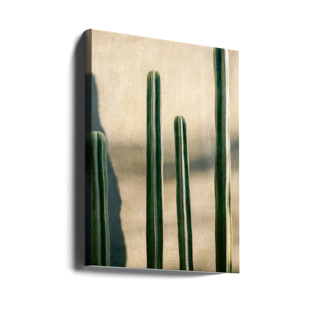 Oaxaca Shades of Green by Raisa Zwart | Botanical Cactus Photography, Large Canvas Wall Art Print | Artsy Earth