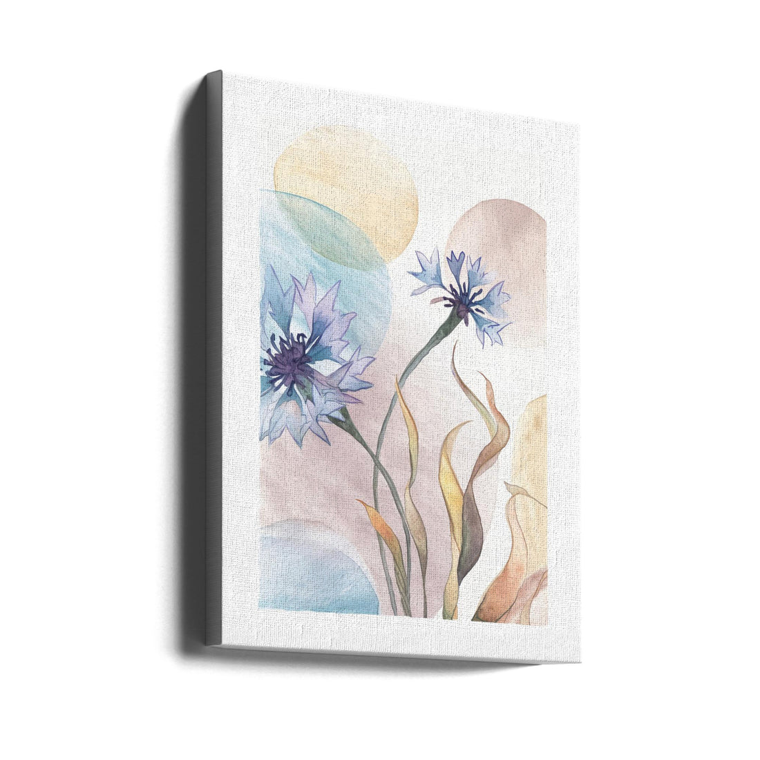 Watercolor Cornflowers by Paperago | Botanical Floral Illustration, Large Canvas Wall Art Print | Artsy Earth