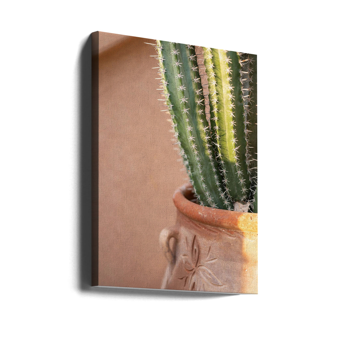 Marrakech Travel Photography by Raisa Zwart | Cactus Garden Photography, Large Canvas Wall Art Print | Artsy Earth