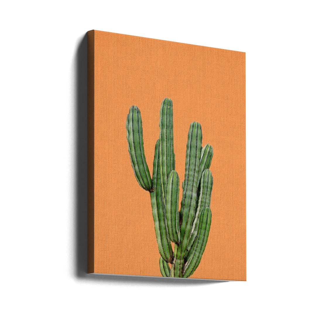 Orange Cactus by Lola Peacock | Succulent Desert Plant, Large Canvas Wall Art Print | Artsy Earth