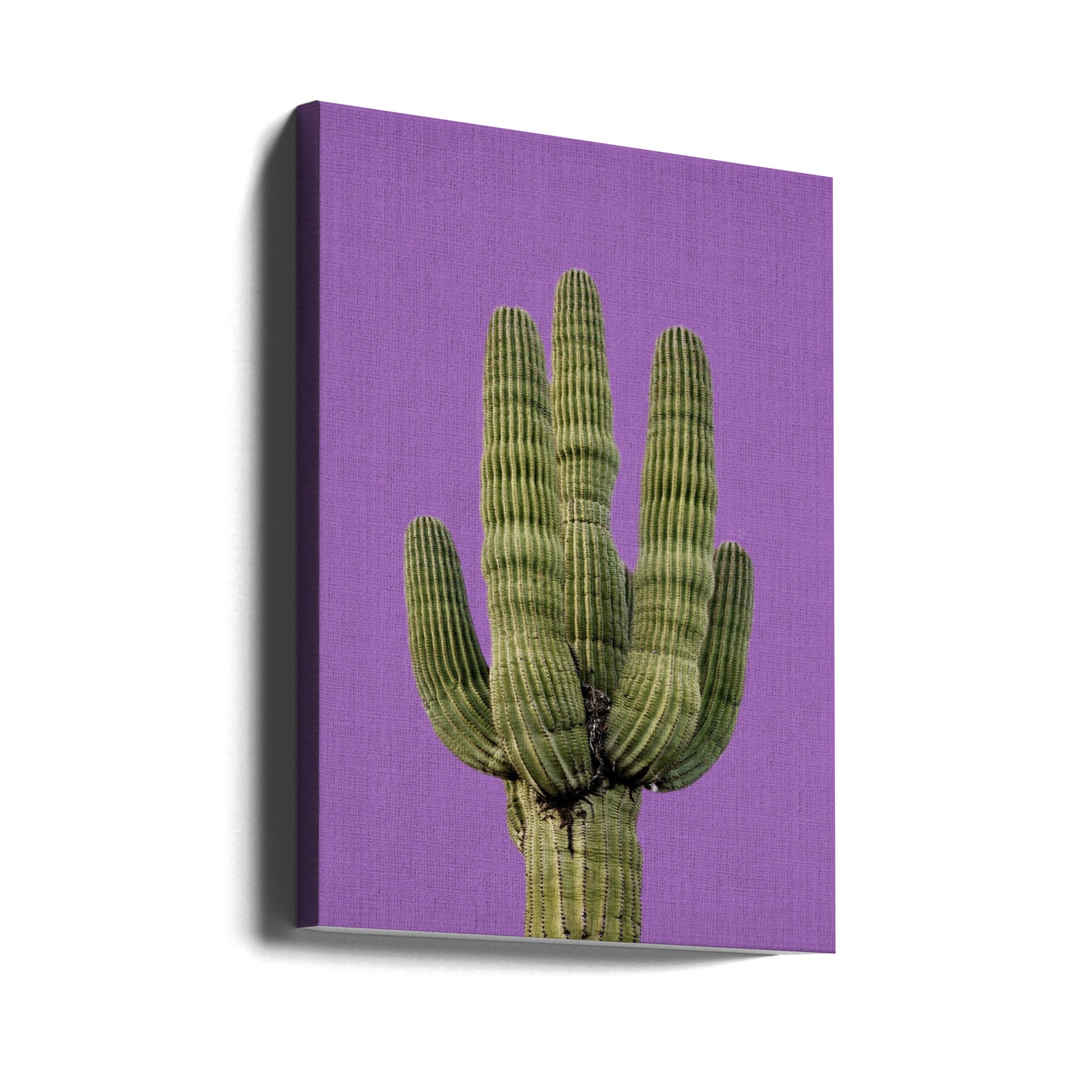 Purple Cactus by Lola Peacock | Succulent Desert Plant, Large Canvas Wall Art Print | Artsy Earth