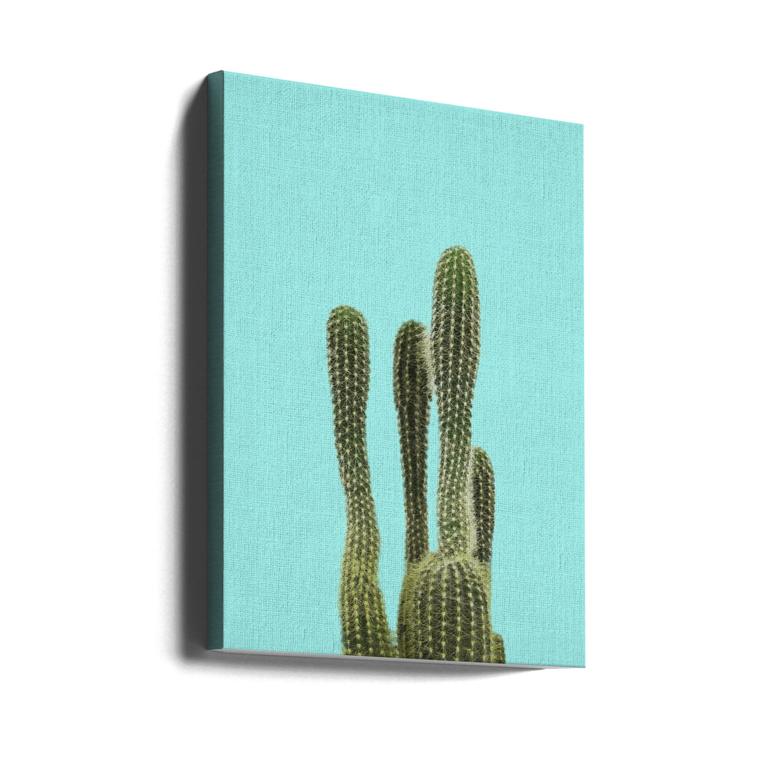 Turquoise Cactus by Lola Peacock | Botanical Desert Plant, Large Canvas Wall Art Print | Artsy Earth