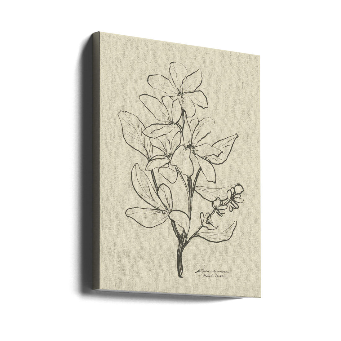 Botanical Line Art by Dan Hobday | Botanical Sketch Drawing, Large Canvas Wall Art Print | Artsy Earth