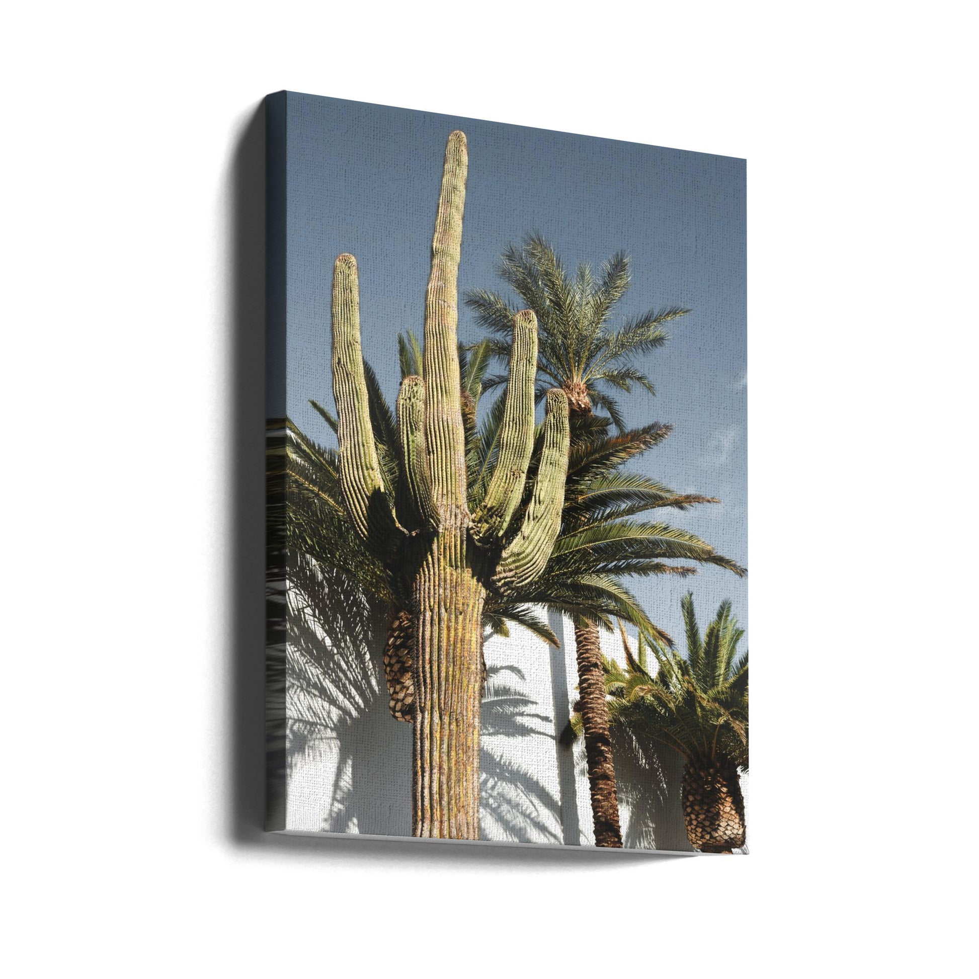 Cactus Las Vegas by Pictufy Studio Iii | Desert Botanical Landscape, Large Canvas Wall Art Print | Artsy Earth