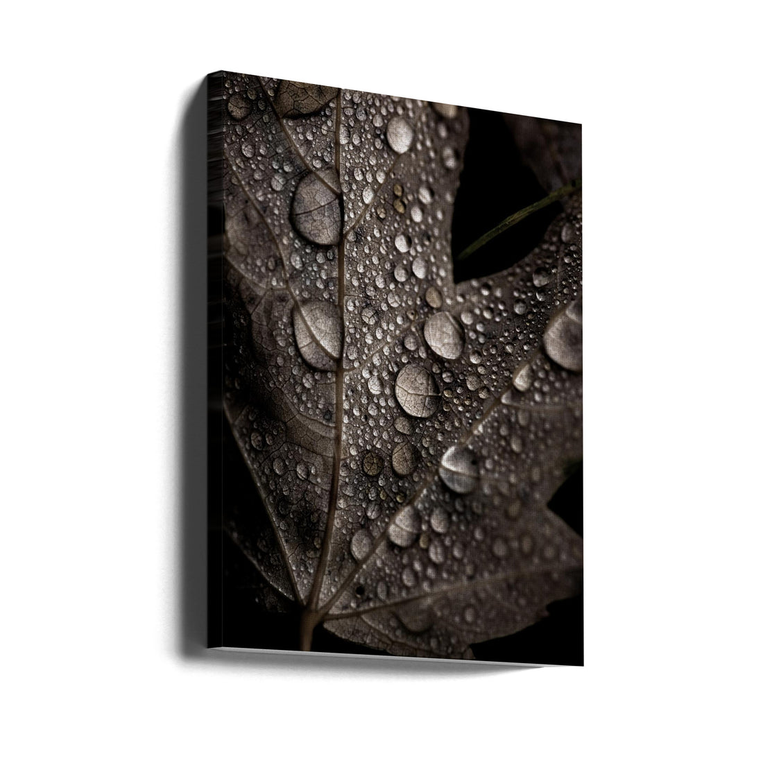 Rainy Fall by Mareike Böhmer | Moody Water Droplets, Large Canvas Wall Art Print | Artsy Earth