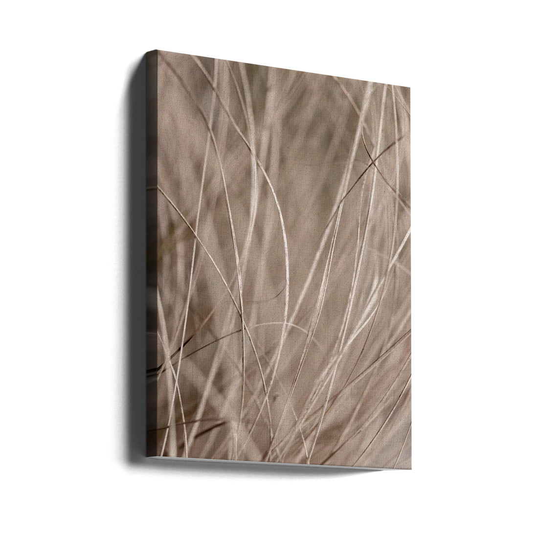 Summer Grass by Mareike Böhmer | Botanical Nature Photography, Large Canvas Wall Art Print | Artsy Earth