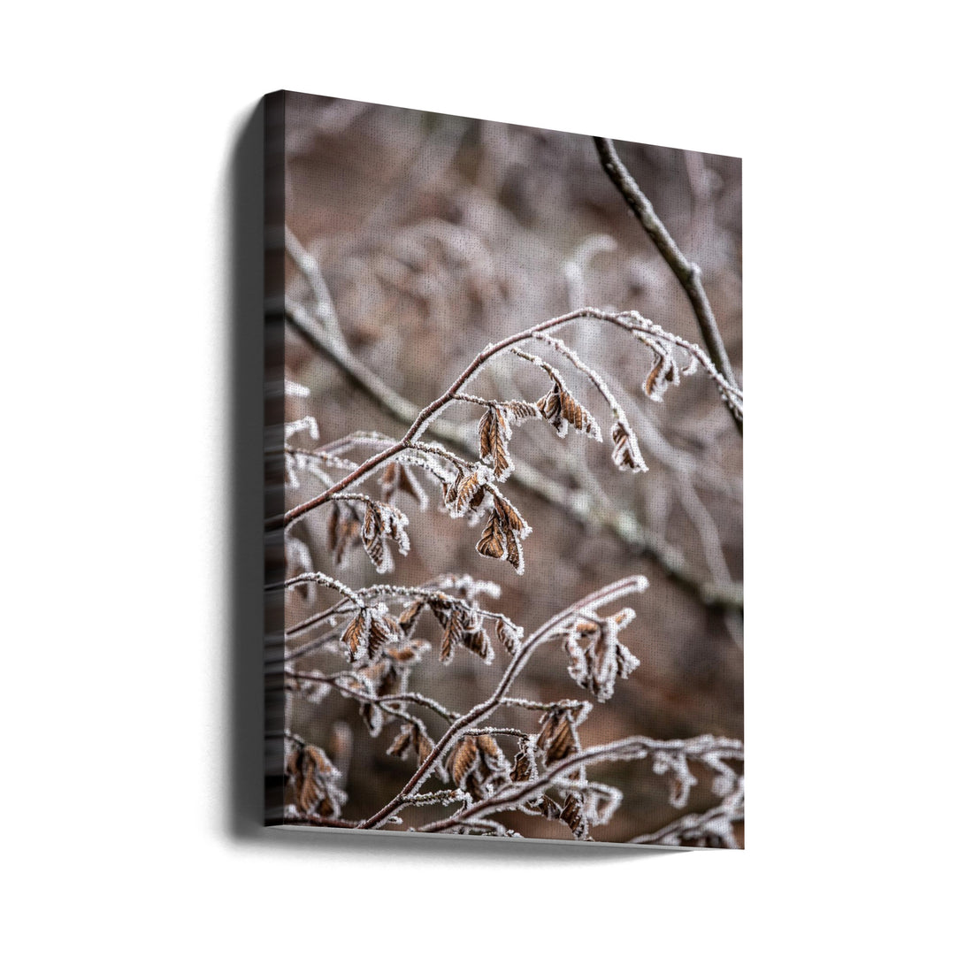 Winter Branches by Mareike Böhmer | Frozen Nature Macro, Large Canvas Wall Art Print | Artsy Earth