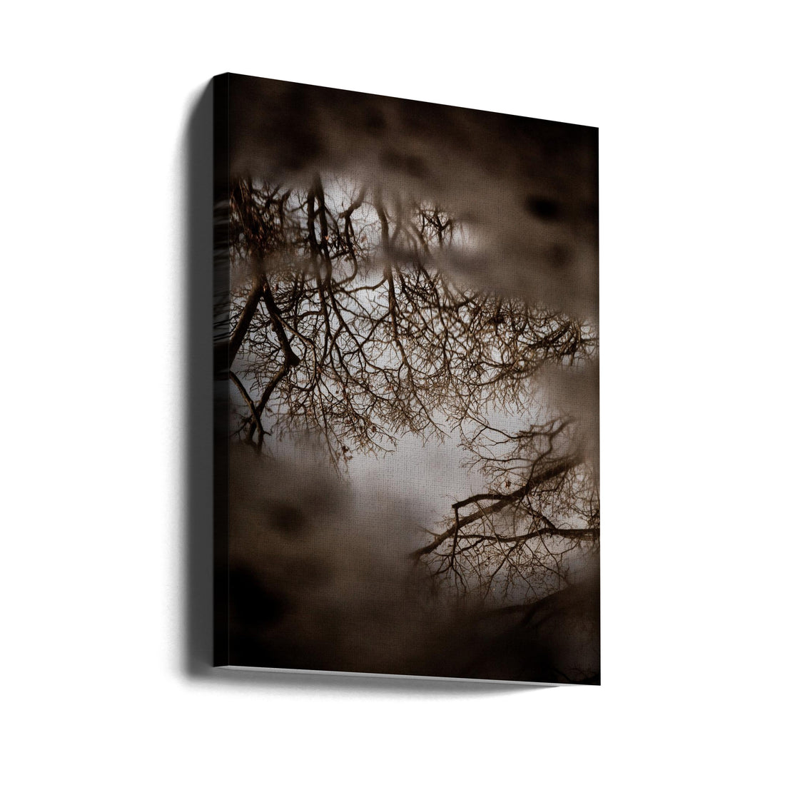 Winter Reflections by Mareike Böhmer | Foggy Forest Landscape, Large Canvas Wall Art Print | Artsy Earth