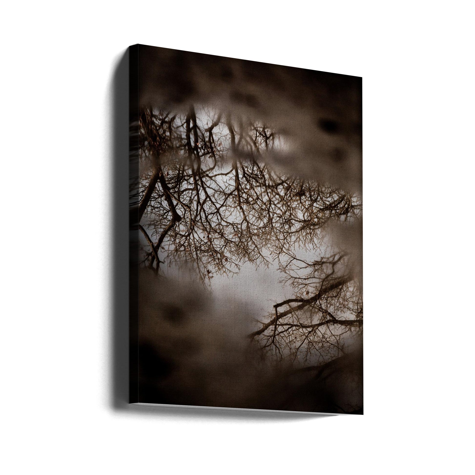 Winter Reflections by Mareike Böhmer | Foggy Forest Landscape, Large Canvas Wall Art Print | Artsy Earth