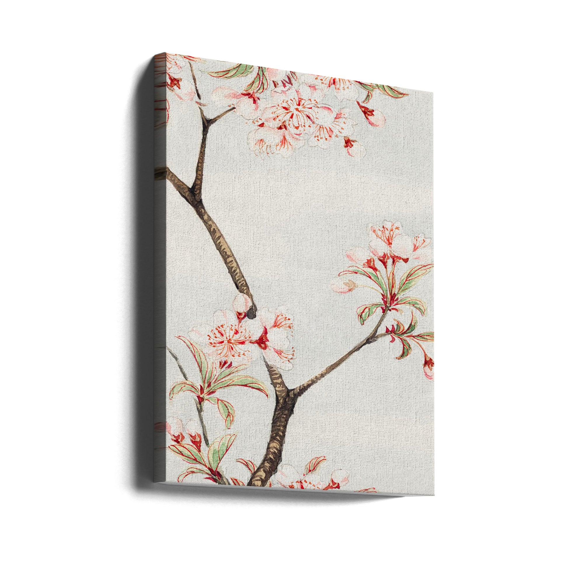 Sakura Cherry Art by Megata Morikaga | Japanese Cherry Blossom, Large Canvas Wall Art Print | Artsy Earth