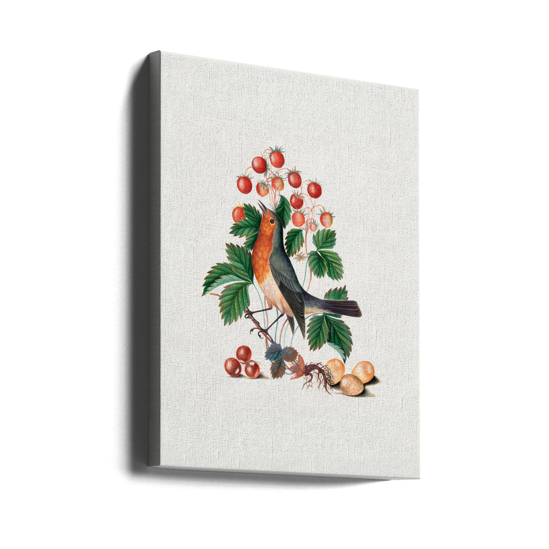 European Robin and Wild Strawberry by James Bolton | Bird Illustration Painting, Large Canvas Wall Art Print | Artsy Earth