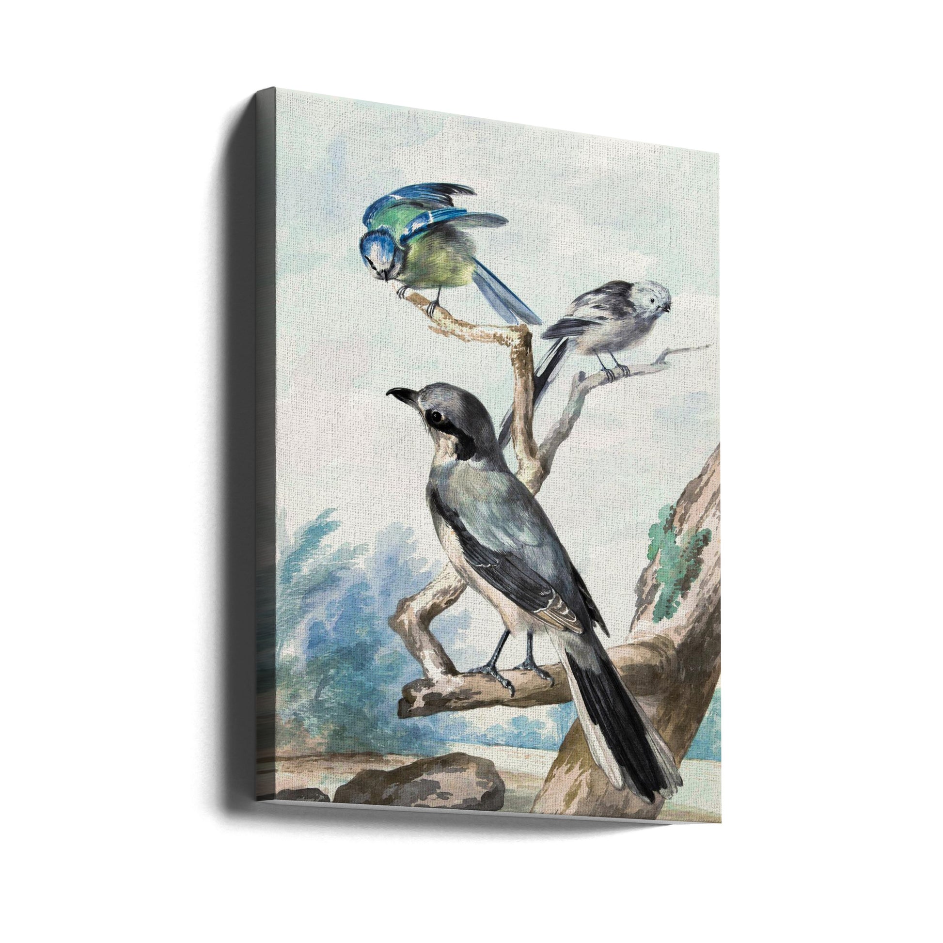 Three Birds by Aert Schouman | Bird Painting, Large Canvas Wall Art Print | Artsy Earth