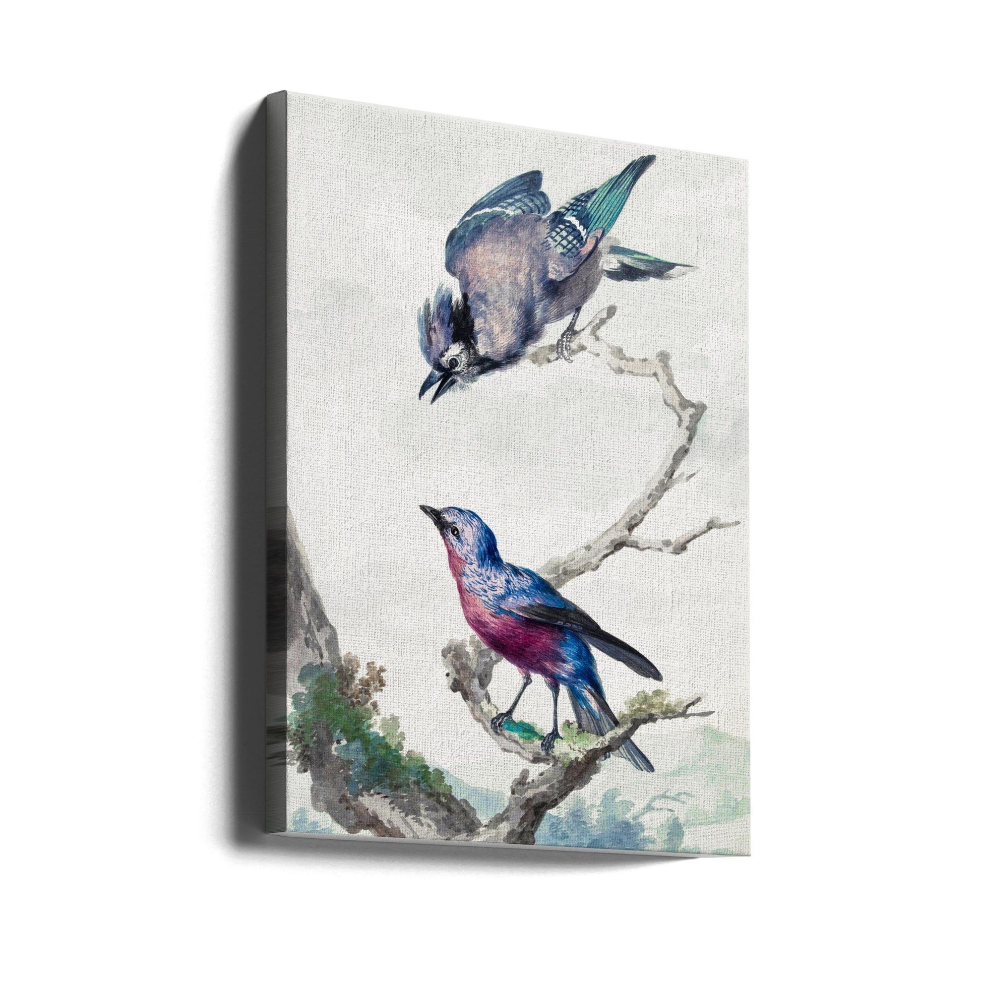 Two Birds on Branch by Aert Schouman | Birds Illustration, Large Canvas Wall Art Print | Artsy Earth