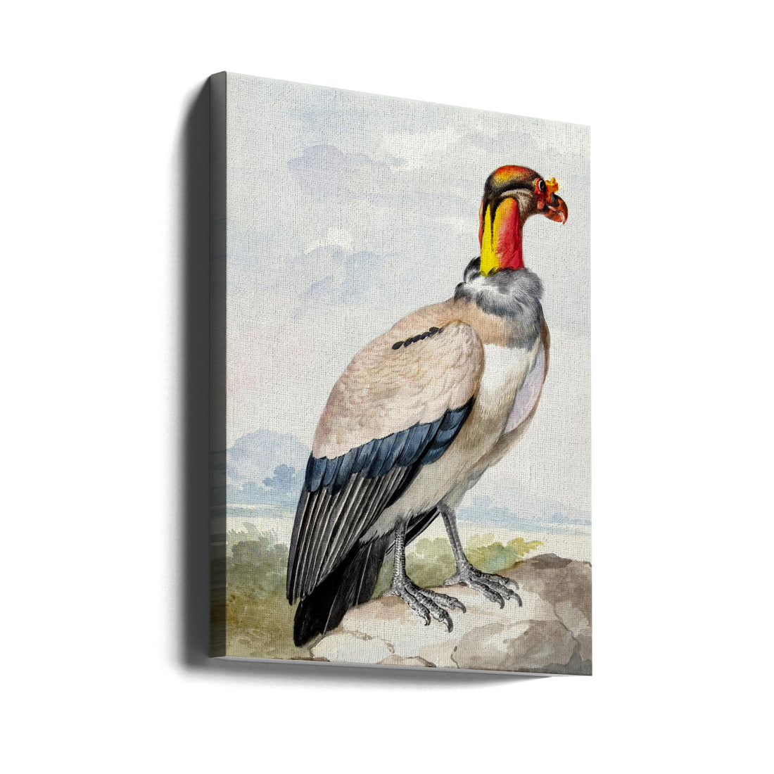 Stone Curlew Art by Aert Schouman | Bird Painting, Large Canvas Wall Art Print | Artsy Earth