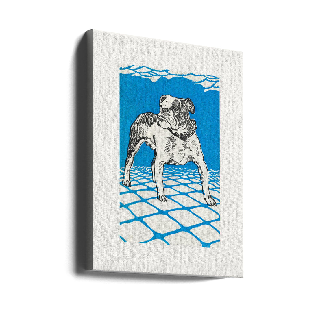 Bulldog Drawing by Moriz Jung | Dog Breed Illustration, Large Canvas Wall Art Print | Artsy Earth