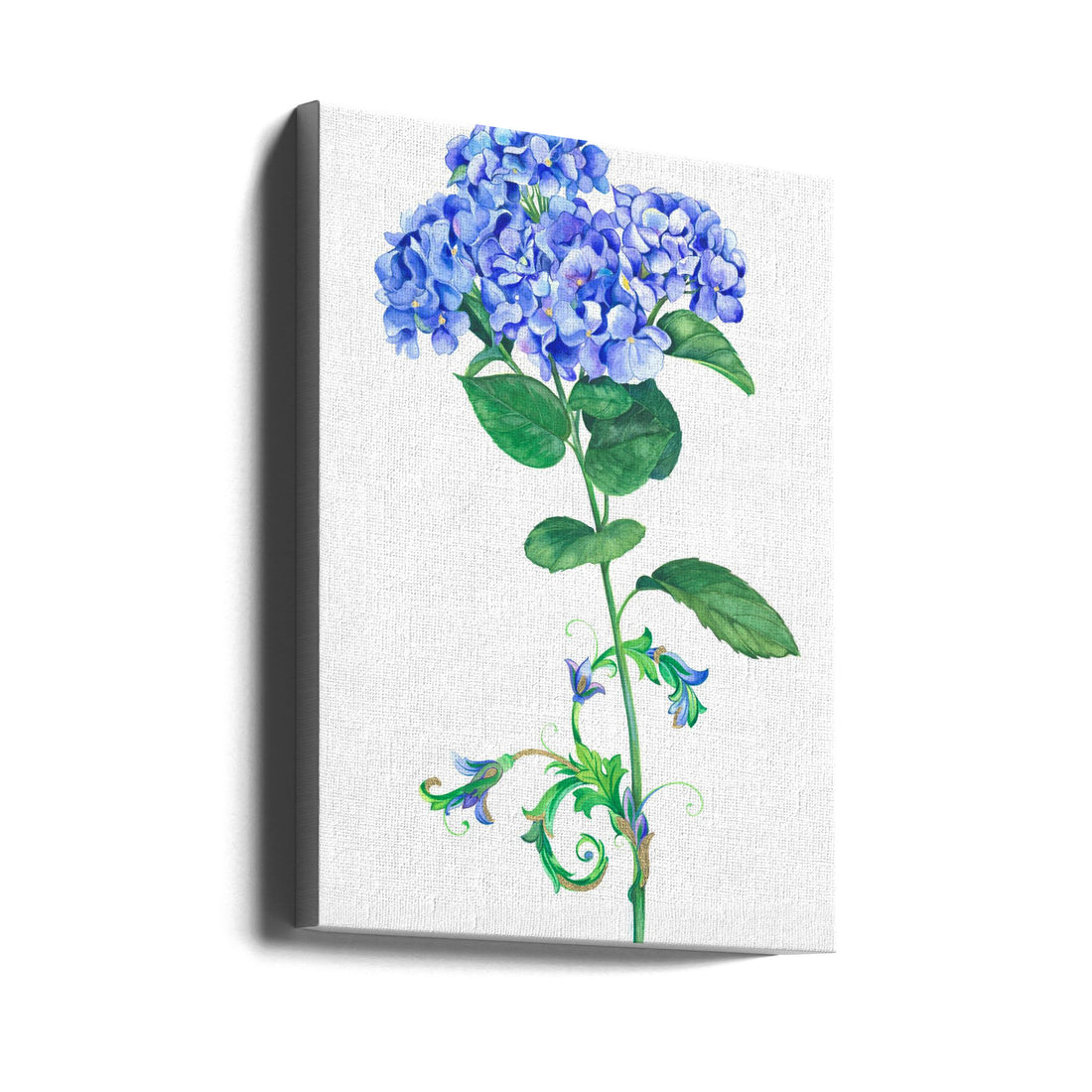 Blue Hydrangea by Isabelle Brent | Botanical Floral Plant, Large Canvas Wall Art Print | Artsy Earth