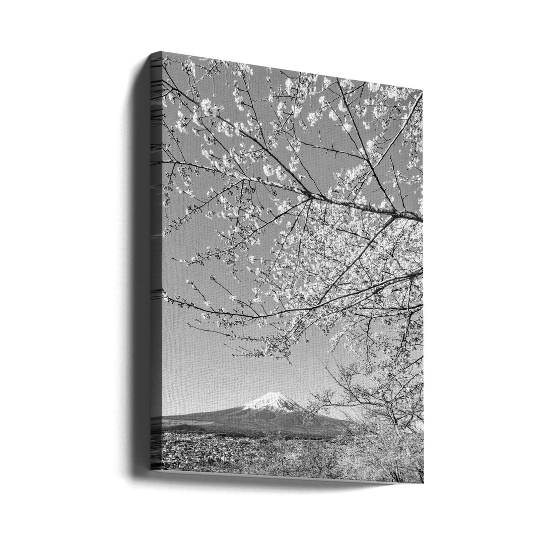 Charming Mount Fuji by Melanie Viola | Japanese Sakura Landscape, Large Canvas Wall Art Print | Artsy Earth