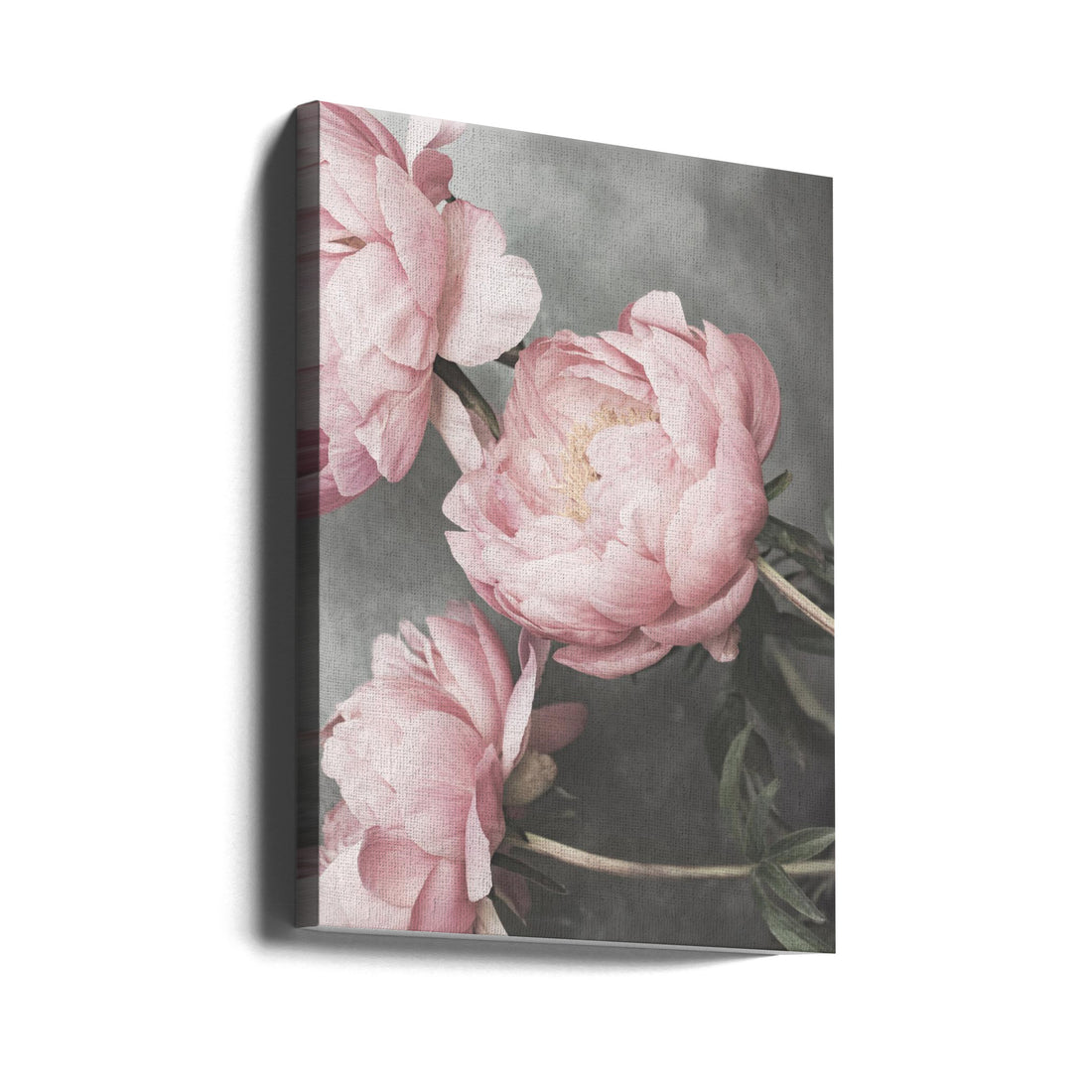 Pink Peony Bloom by Kathrin Pienaar | Garden Floral Botanical, Large Canvas Wall Art Print | Artsy Earth