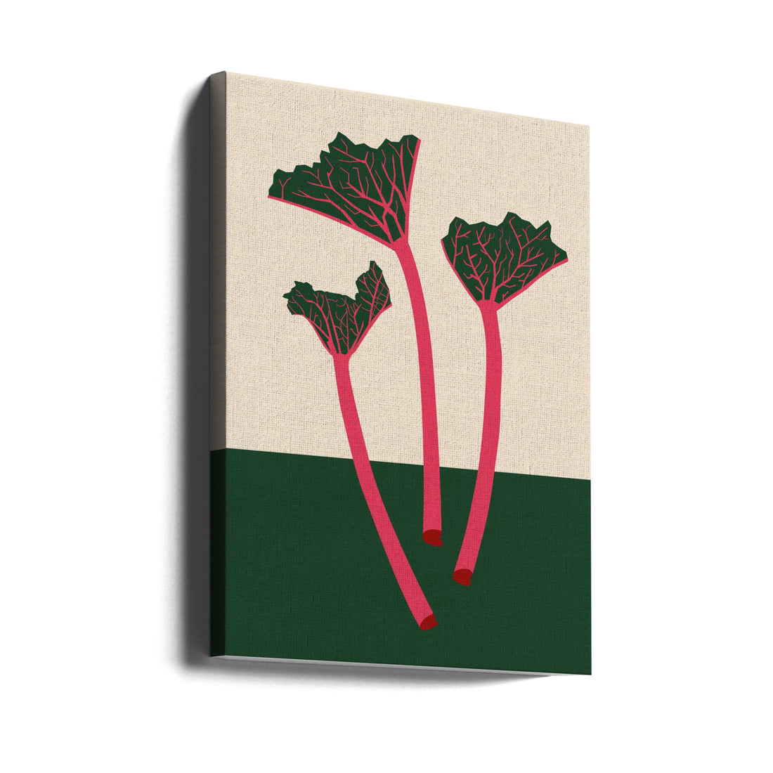 Garden Rhubarb Plant by Rosi Feist | Botanical Vegetable Plant, Large Canvas Wall Art Print | Artsy Earth