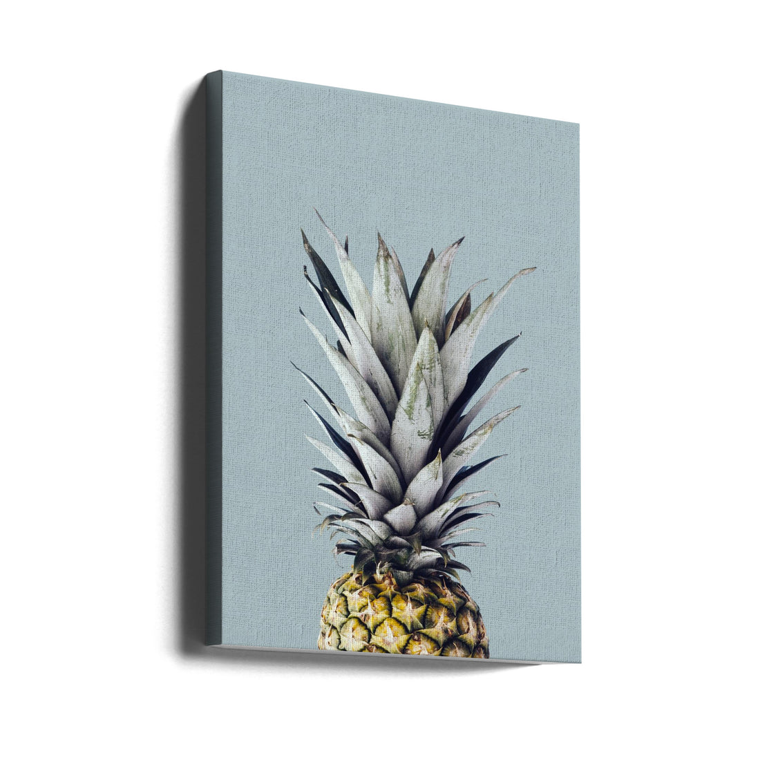 Pineapple Art by Vitor Costa | Watercolor Botanical Illustration, Large Canvas Wall Art Print | Artsy Earth