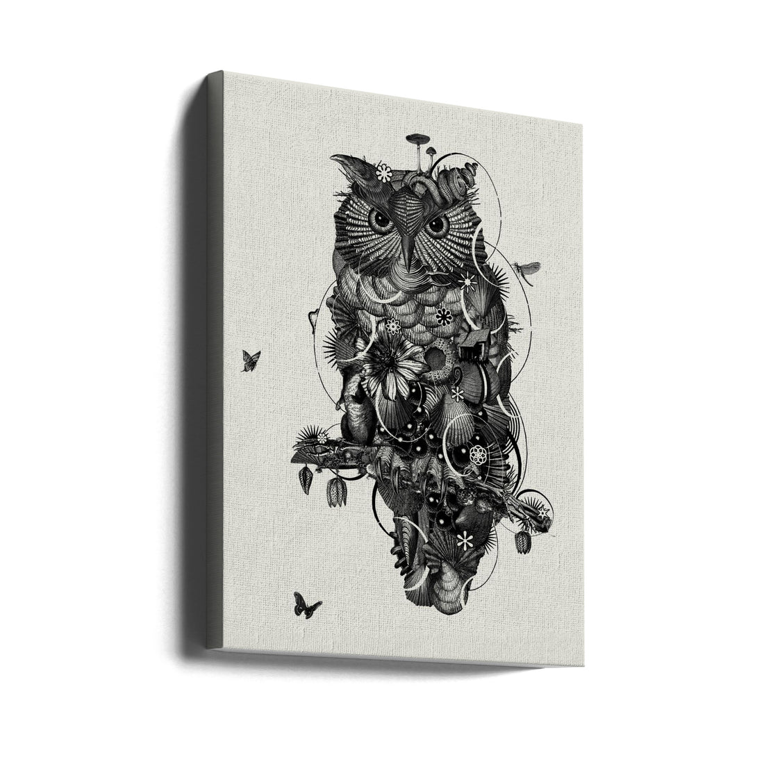 Owl Drawing Art by Jaco Putker | Nature Line Art, Large Canvas Wall Art Print | Artsy Earth