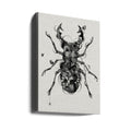 Stagbeetle Drawing by Jaco Putker | Detailed Insect Illustration, Large Canvas Wall Art Print | Artsy Earth