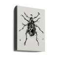 Beetle Drawing by Jaco Putker | Detailed Insect Illustration, Large Canvas Wall Art Print | Artsy Earth