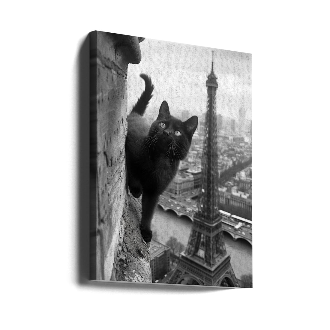 Kitty in Paris by Dikhotomy | Surreal Cat Collage, Large Canvas Wall Art Print | Artsy Earth