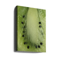 Fresh Kiwi Slice by Lynann Colligan | Organic Green Fruit, Large Canvas Wall Art Print | Artsy Earth