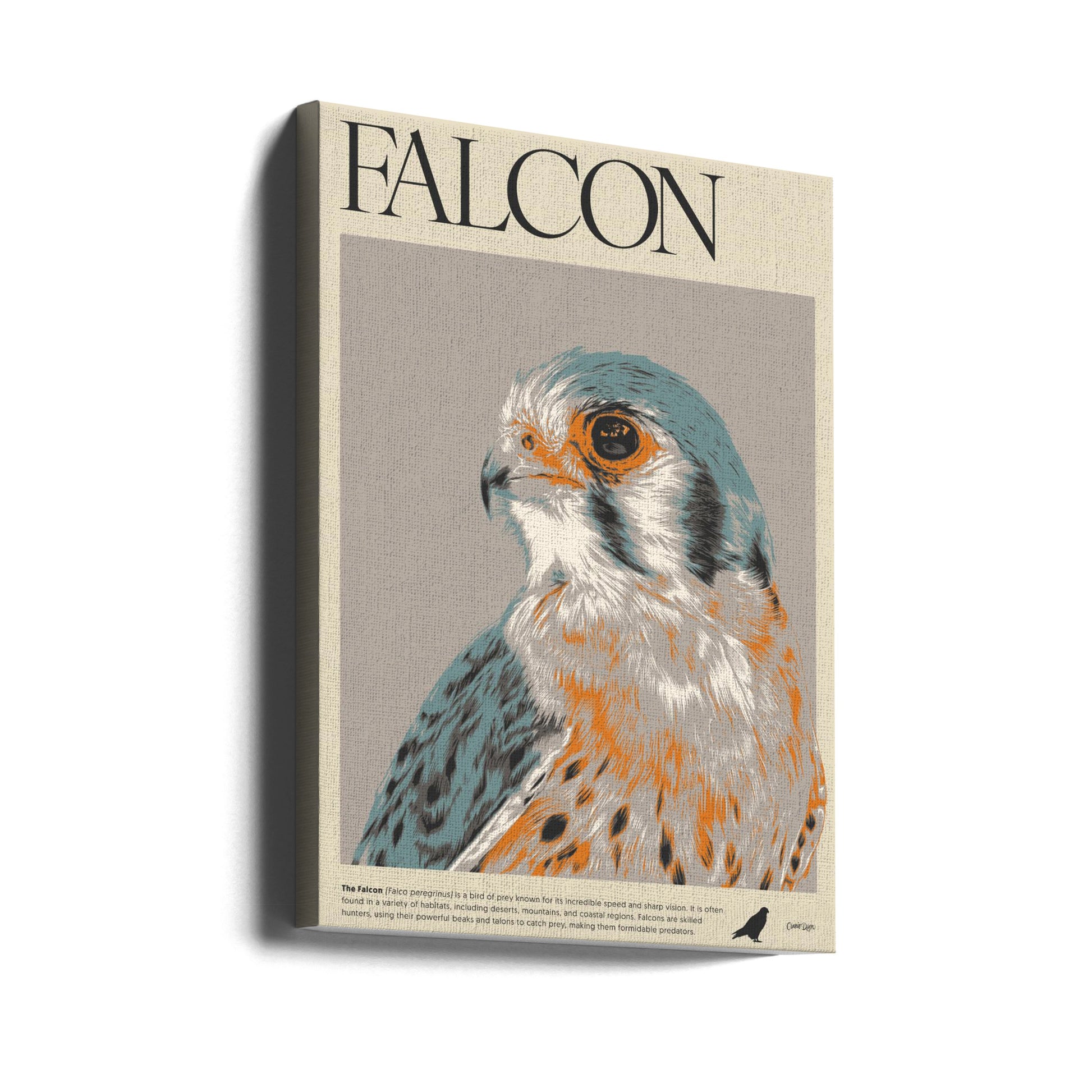 Vintage Falcon Art by Cranio Dsgn / Alex G. | Bird Of Prey Poster, Large Canvas Wall Art Print | Artsy Earth