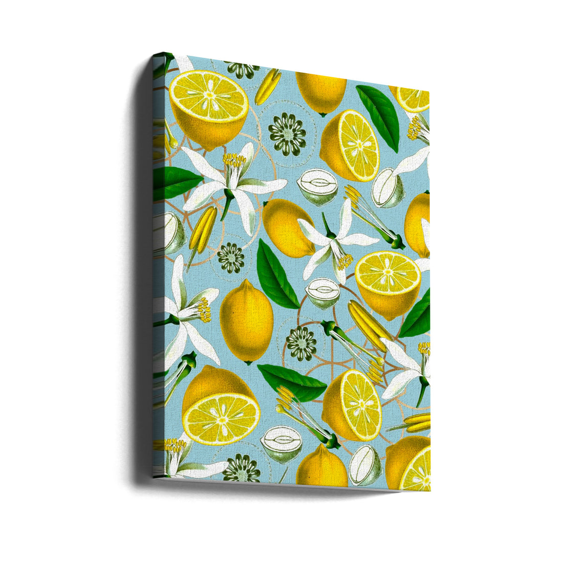 Citrus Botanical by Elizabeth C | Botanical Food Pattern, Large Canvas Wall Art Print | Artsy Earth